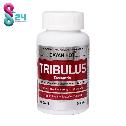 کپسول تریبولوس دایان‌ هات دایان فارما 60 عدد ( Dayanpharma Tribulus Dayan Hot 60 Caps )