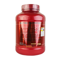 پروتئین 100 درصد بیف کانسنتریت سایتک نوتریشن