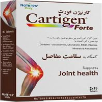 کارتیژن فورت